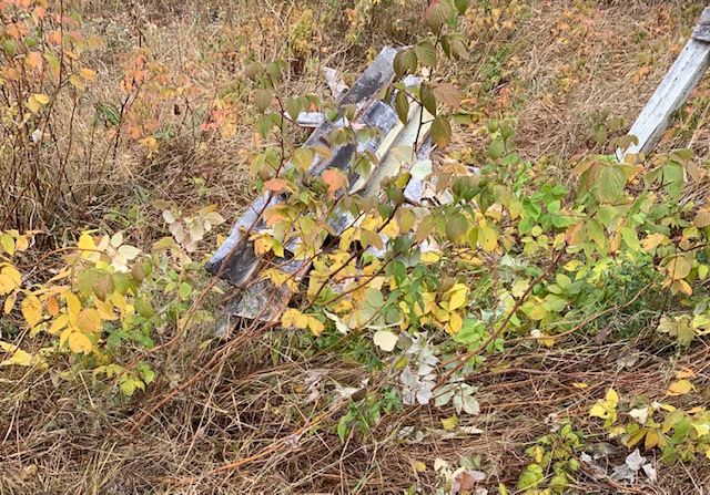 B8A05FC9-5C17-44F0-AC17-B9457A8401CB